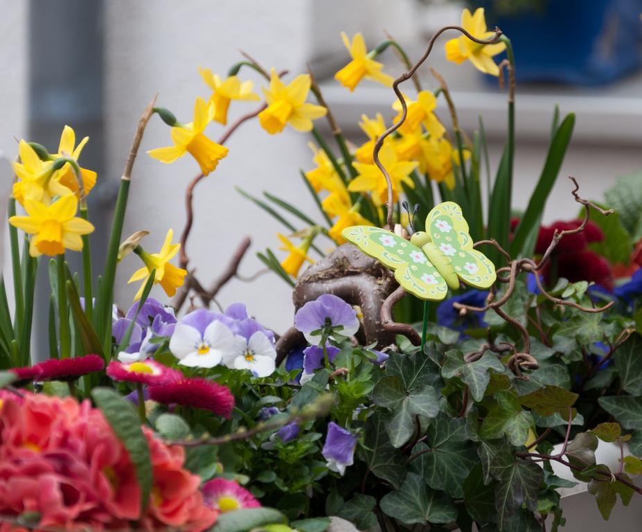 Garni Hotel Drei Lilien Wiesbaden Luaran gambar